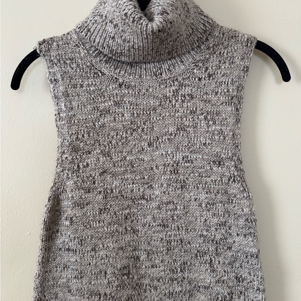 ZARA Sweater Turtleneck Dress